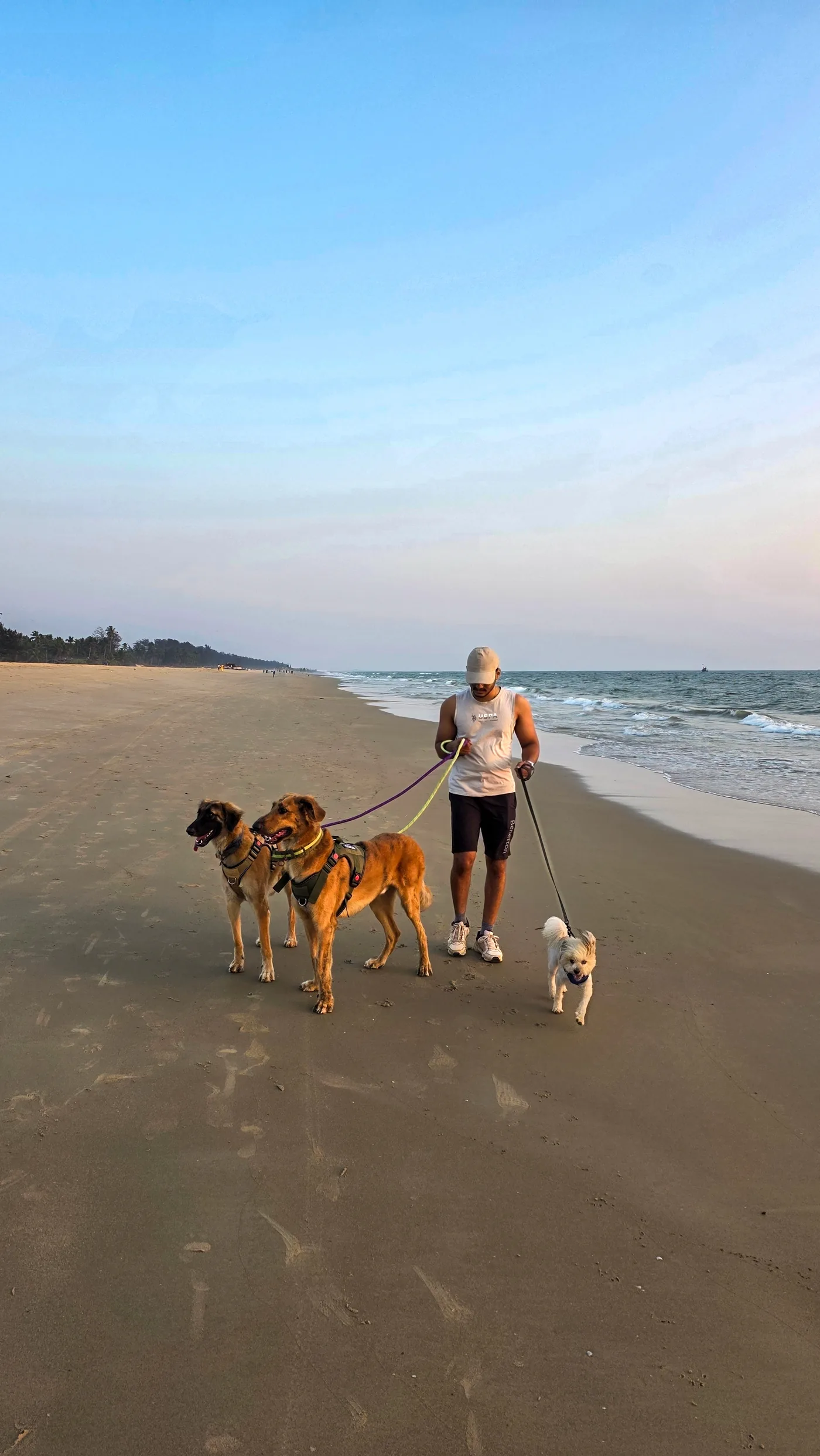 Milind Gauns walking three dogs along a Goa beach at dawn